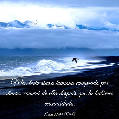 Picture 03 - Éxodo 12:44 RVA - Mas todo siervo humano comprado por dinero, - Bible Verse Picture