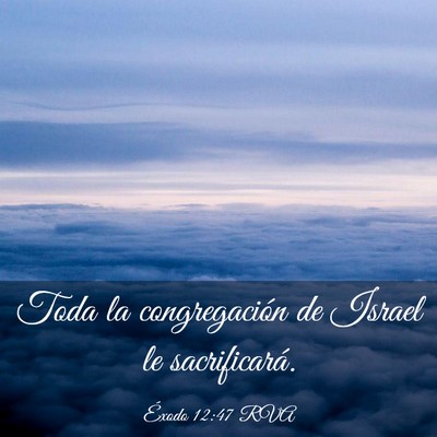 Picture 03 - Éxodo 12:47 RVA - Toda la congregación de Israel le - Bible Verse Picture