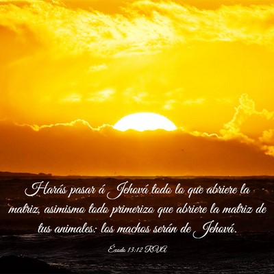 Picture 03 - Éxodo 13:12 RVA - Harás pasar á Jehová todo lo que abriere la - Bible Verse Picture