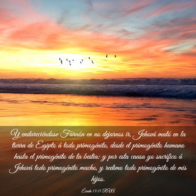 Picture 03 - Éxodo 13:15 RVA - Y endureciéndose Faraón en no dejarnos ir, - Bible Verse Picture