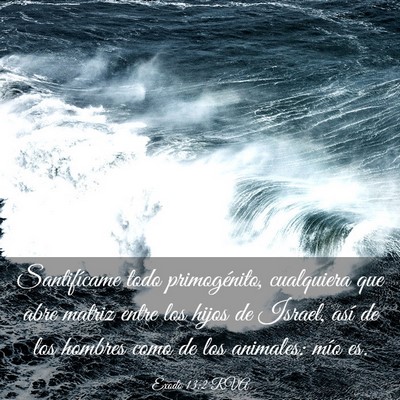 Picture 03 - Éxodo 13:2 RVA - Santifícame todo primogénito, cualquiera que - Bible Verse Picture