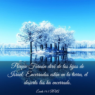 Picture 03 - Éxodo 14:3 RVA - Porque Faraón dirá de los hijos de Israel: - Bible Verse Picture