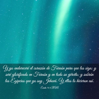 Picture 03 - Éxodo 14:4 RVA - Y yo endureceré el corazón de Faraón para que - Bible Verse Picture