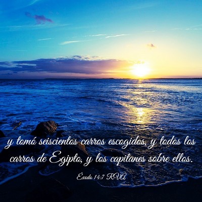 Picture 03 - Éxodo 14:7 RVA - y tomó seiscientos carros escogidos, y todos los - Bible Verse Picture