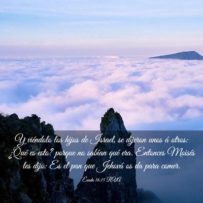 Picture 03 - Éxodo 16:15 RVA - Y viéndolo los hijos de Israel, se dijeron unos - Bible Verse Picture