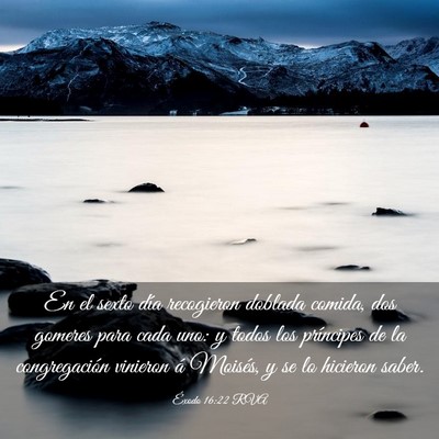 Picture 03 - Éxodo 16:22 RVA - En el sexto día recogieron doblada comida, dos - Bible Verse Picture