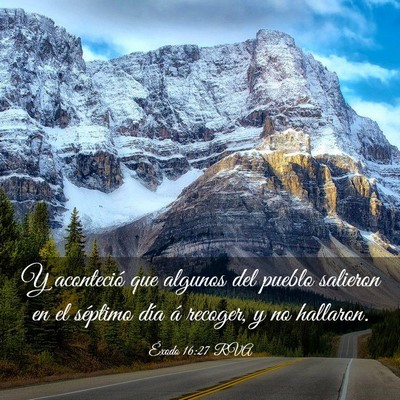 Picture 03 - Éxodo 16:27 RVA - Y aconteció que algunos del pueblo salieron en - Bible Verse Picture