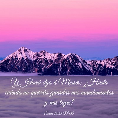 Picture 03 - Éxodo 16:28 RVA - Y Jehová dijo á Moisés: ¿Hasta cuándo no - Bible Verse Picture