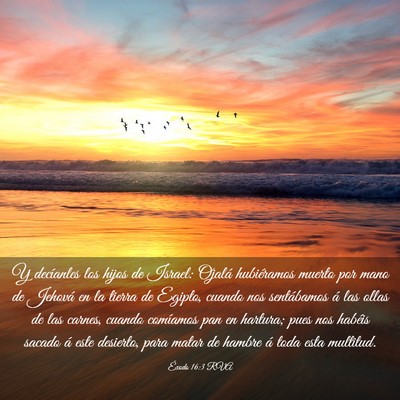 Picture 03 - Éxodo 16:3 RVA - Y decíanles los hijos de Israel: Ojalá - Bible Verse Picture