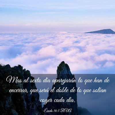 Picture 03 - Éxodo 16:5 RVA - Mas al sexto día aparejarán lo que han de - Bible Verse Picture