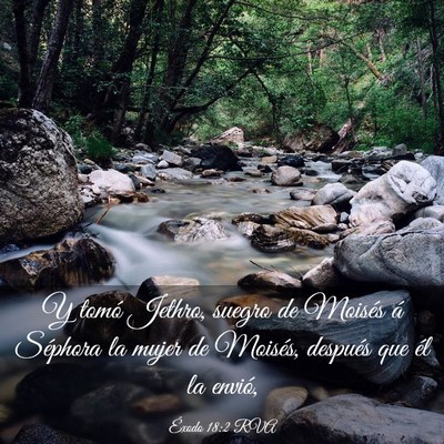 Picture 03 - Éxodo 18:2 RVA - Y tomó Jethro, suegro de Moisés á Séphora la - Bible Verse Picture