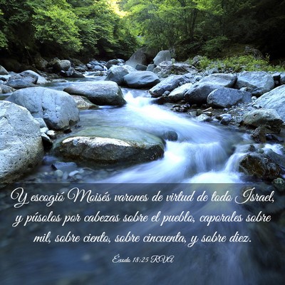Picture 03 - Éxodo 18:25 RVA - Y escogió Moisés varones de virtud de todo - Bible Verse Picture