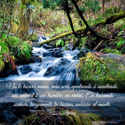 Picture 03 - Éxodo 19:13 RVA - No le tocará mano, mas será apedreado ó - Bible Verse Picture