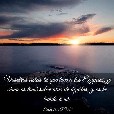 Picture 03 - Éxodo 19:4 RVA - Vosotros visteis lo que hice á los Egipcios, y - Bible Verse Picture