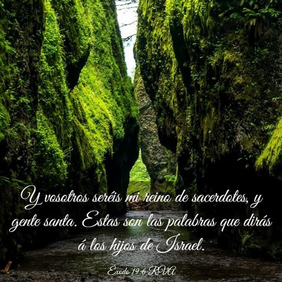 Picture 03 - Éxodo 19:6 RVA - Y vosotros seréis mi reino de sacerdotes, y - Bible Verse Picture
