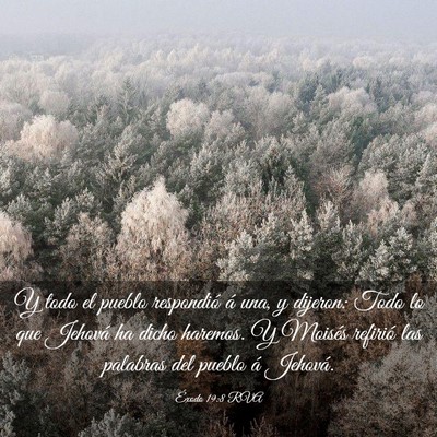 Picture 03 - Éxodo 19:8 RVA - Y todo el pueblo respondió á una, y dijeron: - Bible Verse Picture