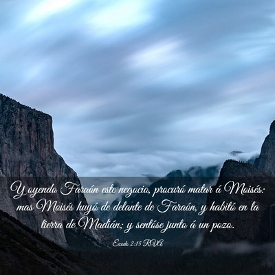 Picture 03 - Éxodo 2:15 RVA - Y oyendo Faraón este negocio, procuró matar á - Bible Verse Picture