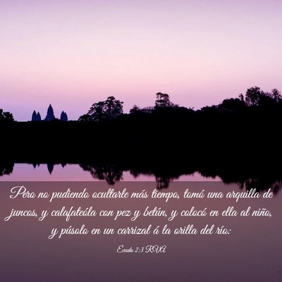 Picture 03 - Éxodo 2:3 RVA - Pero no pudiendo ocultarle más tiempo, tomó una - Bible Verse Picture