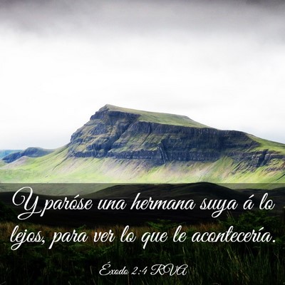 Picture 03 - Éxodo 2:4 RVA - Y paróse una hermana suya á lo lejos, para ver - Bible Verse Picture