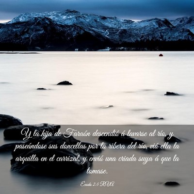 Picture 03 - Éxodo 2:5 RVA - Y la hija de Faraón descendió á lavarse al - Bible Verse Picture