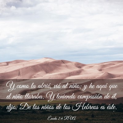 Picture 03 - Éxodo 2:6 RVA - Y como la abrió, vió al niño; y he aquí que - Bible Verse Picture