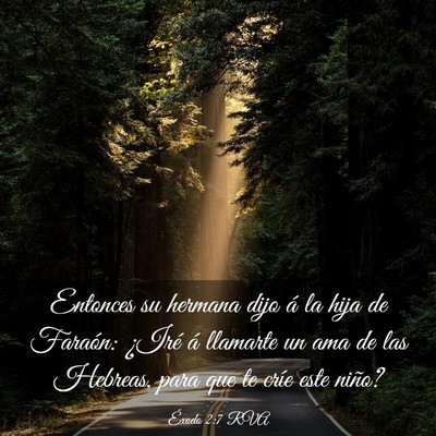 Picture 03 - Éxodo 2:7 RVA - Entonces su hermana dijo á la hija de Faraón: - Bible Verse Picture