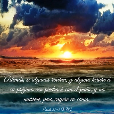 Picture 03 - Éxodo 21:18 RVA - Además, si algunos riñeren, y alguno hiriere á - Bible Verse Picture
