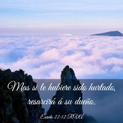 Picture 03 - Éxodo 22:12 RVA - Mas si le hubiere sido hurtado, resarcirá á su - Bible Verse Picture