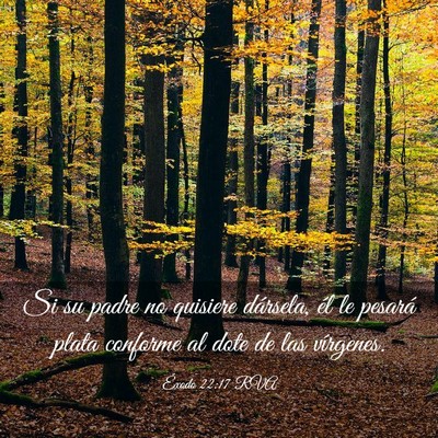 Picture 03 - Éxodo 22:17 RVA - Si su padre no quisiere dársela, él le pesará - Bible Verse Picture