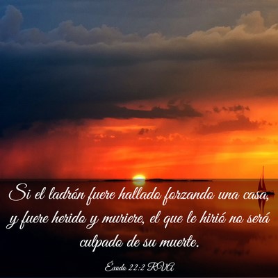 Picture 03 - Éxodo 22:2 RVA - Si el ladrón fuere hallado forzando una casa, y - Bible Verse Picture