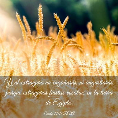 Picture 03 - Éxodo 22:21 RVA - Y al extranjero no engañarás, ni angustiarás, - Bible Verse Picture