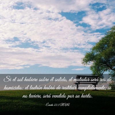 Picture 03 - Éxodo 22:3 RVA - Si el sol hubiere sobre él salido, el matador - Bible Verse Picture