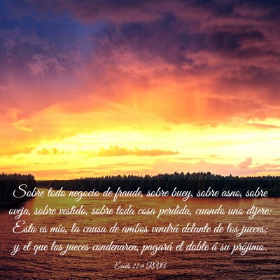 Picture 03 - Éxodo 22:9 RVA - Sobre todo negocio de fraude, sobre buey, sobre - Bible Verse Picture
