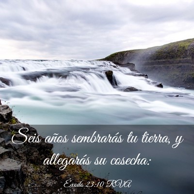 Picture 03 - Éxodo 23:10 RVA - Seis años sembrarás tu tierra, y allegarás su - Bible Verse Picture