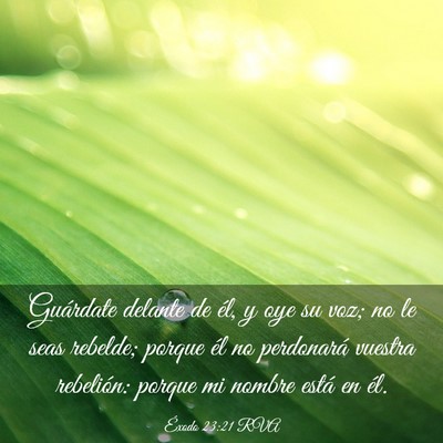 Picture 03 - Éxodo 23:21 RVA - Guárdate delante de él, y oye su voz; no le - Bible Verse Picture