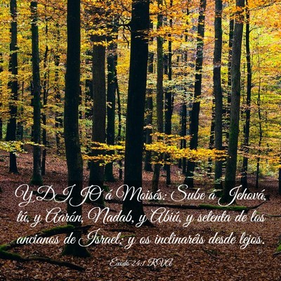 Picture 03 - Éxodo 24:1 RVA - Y DIJO á Moisés: Sube á Jehová, tú, y - Bible Verse Picture