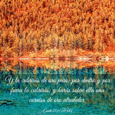 Picture 03 - Éxodo 25:11 RVA - Y la cubrirás de oro puro; por dentro y por - Bible Verse Picture