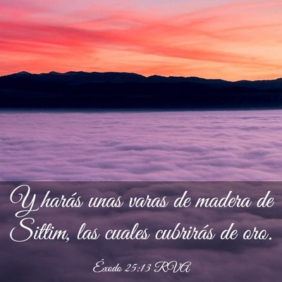 Picture 03 - Éxodo 25:13 RVA - Y harás unas varas de madera de Sittim, las - Bible Verse Picture