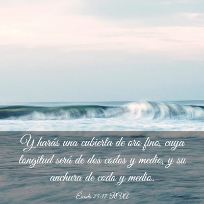 Picture 03 - Éxodo 25:17 RVA - Y harás una cubierta de oro fino, cuya longitud - Bible Verse Picture
