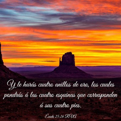 Picture 03 - Éxodo 25:26 RVA - Y le harás cuatro anillos de oro, los cuales - Bible Verse Picture