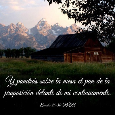 Picture 03 - Éxodo 25:30 RVA - Y pondrás sobre la mesa el pan de la - Bible Verse Picture