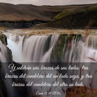 Picture 03 - Éxodo 25:32 RVA - Y saldrán seis brazos de sus lados: tres brazos - Bible Verse Picture