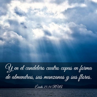 Picture 03 - Éxodo 25:34 RVA - Y en el candelero cuatro copas en forma de - Bible Verse Picture