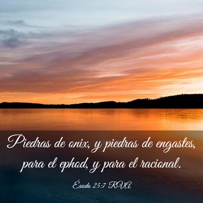 Picture 03 - Éxodo 25:7 RVA - Piedras de onix, y piedras de engastes, para el - Bible Verse Picture