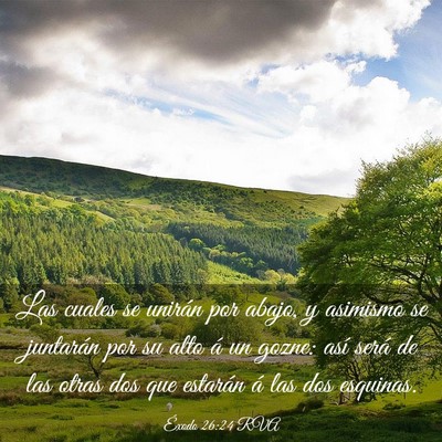 Picture 03 - Éxodo 26:24 RVA - Las cuales se unirán por abajo, y asimismo se - Bible Verse Picture