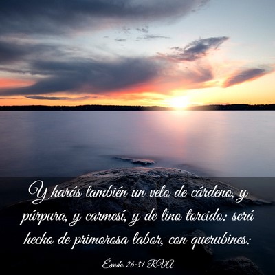 Picture 03 - Éxodo 26:31 RVA - Y harás también un velo de cárdeno, y - Bible Verse Picture