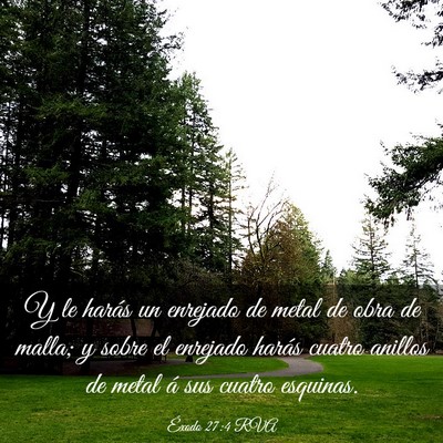 Picture 03 - Éxodo 27:4 RVA - Y le harás un enrejado de metal de obra de - Bible Verse Picture