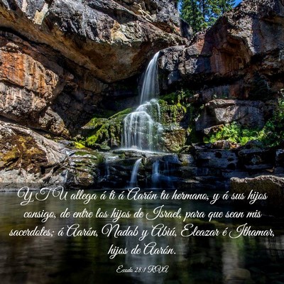 Picture 03 - Éxodo 28:1 RVA - Y TU allega á ti á Aarón tu hermano, y á sus - Bible Verse Picture