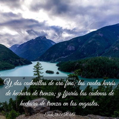 Picture 03 - Éxodo 28:14 RVA - Y dos cadenillas de oro fino; las cuales harás - Bible Verse Picture