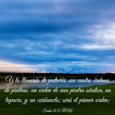 Picture 03 - Éxodo 28:17 RVA - Y lo llenarás de pedrería con cuatro órdenes - Bible Verse Picture